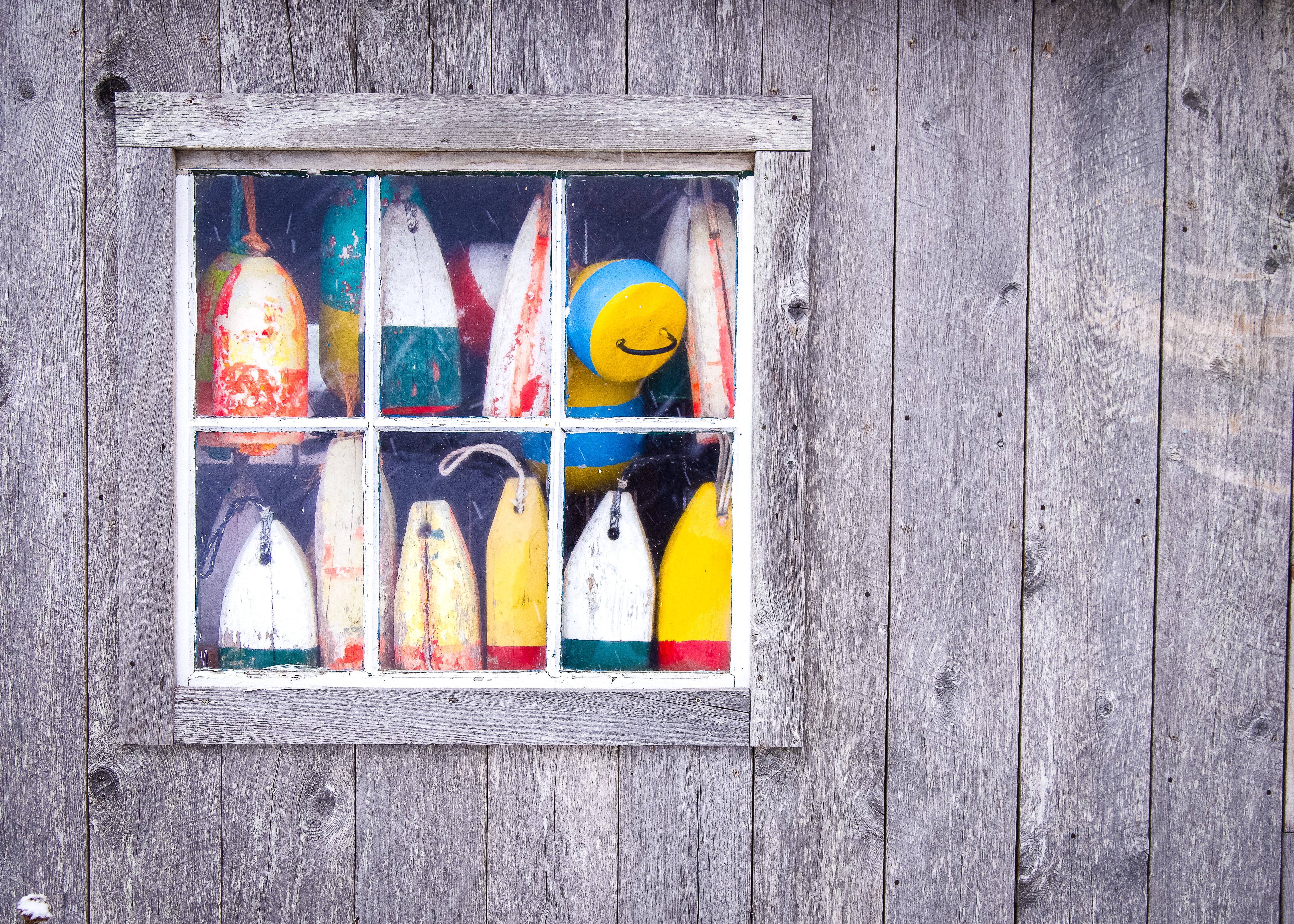 Buoys in Fishshack by John Batten Needle Felting